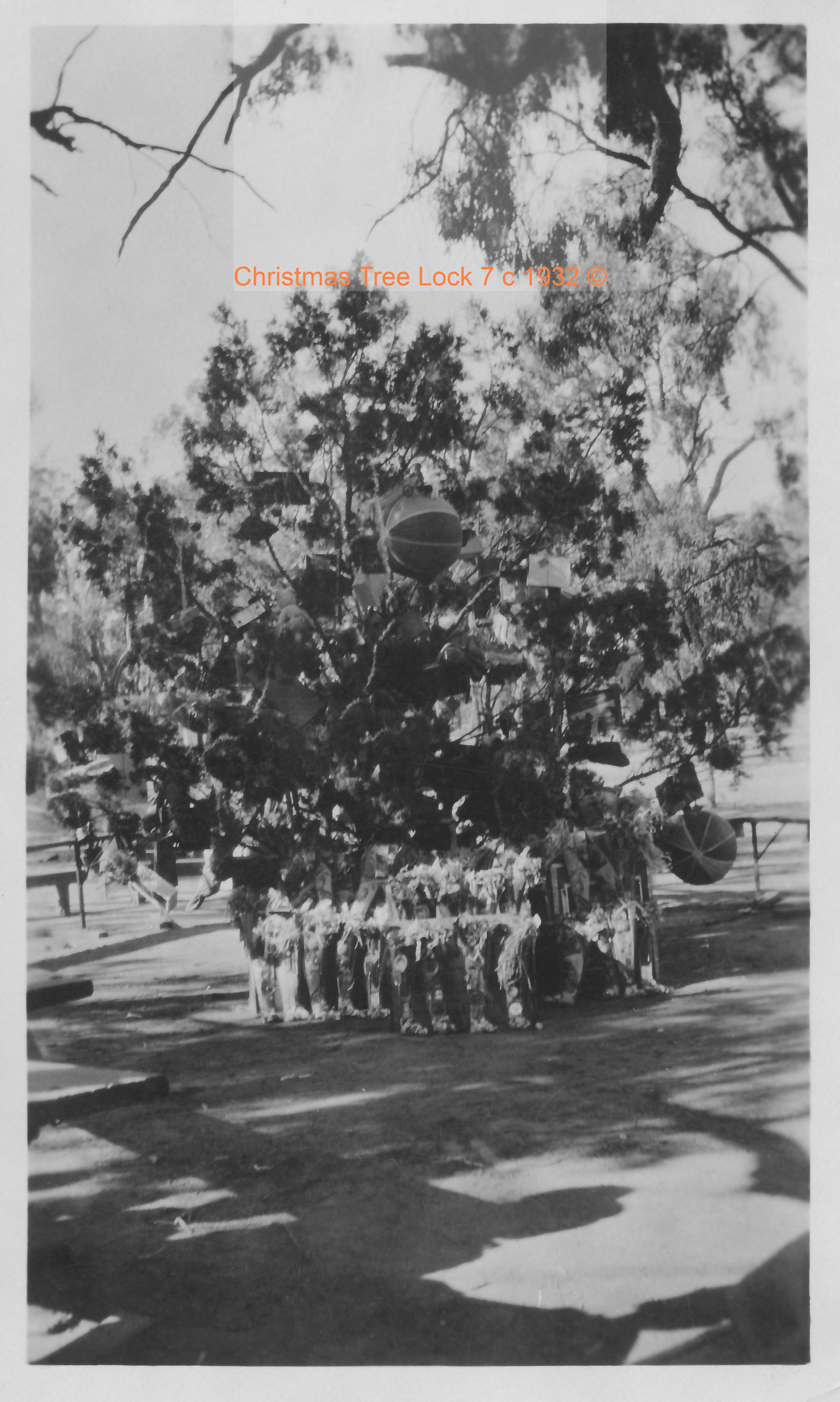 lock 7 Christmas tree from dawn glenn collection